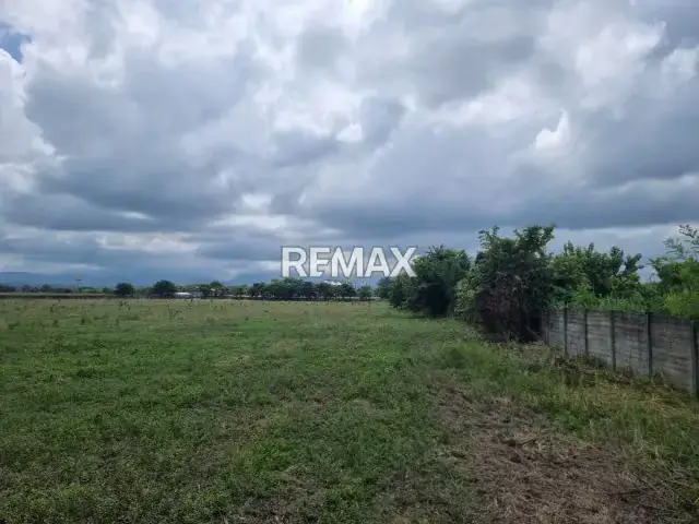 EN VENTA TERRENO TOTALMENTE CERCADO 6.5 HECTÁREAS EN MUNICIPIO ARAURE RIO ACARIGUA