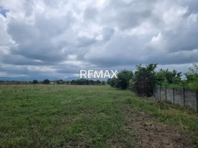 EN VENTA TERRENO TOTALMENTE CERCADO 6.5 HECTÁREAS EN MUNICIPIO ARAURE RIO ACARIGUA