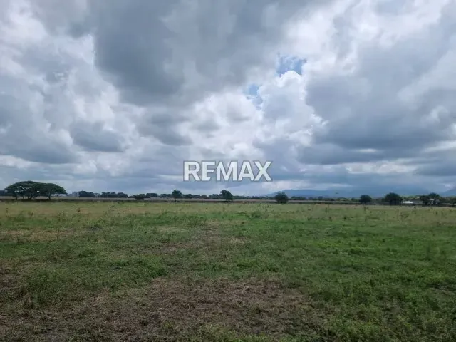 EN VENTA TERRENO TOTALMENTE CERCADO 6.5 HECTÁREAS EN MUNICIPIO ARAURE RIO ACARIGUA - 2