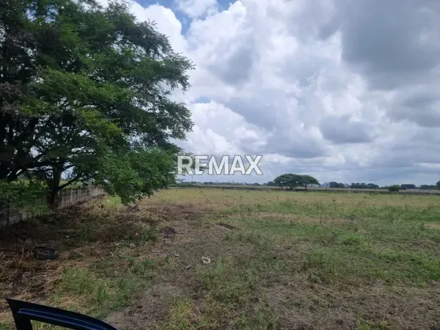 EN VENTA TERRENO TOTALMENTE CERCADO 6.5 HECTÁREAS EN MUNICIPIO ARAURE RIO ACARIGUA - 3