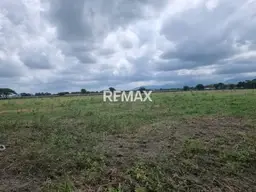Vista 4
