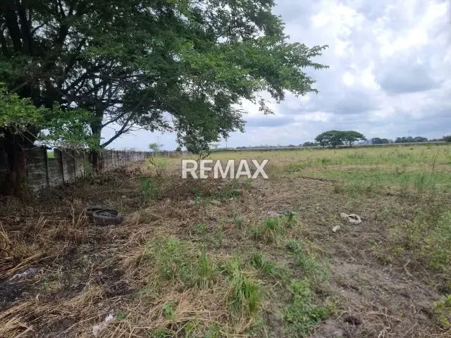 EN VENTA TERRENO TOTALMENTE CERCADO 6.5 HECTÁREAS EN MUNICIPIO ARAURE RIO ACARIGUA - 5