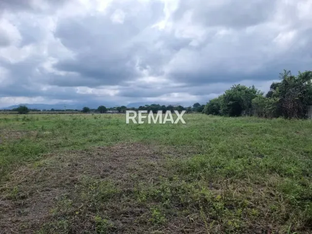 EN VENTA TERRENO TOTALMENTE CERCADO 6.5 HECTÁREAS EN MUNICIPIO ARAURE RIO ACARIGUA - 6