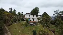 View 1