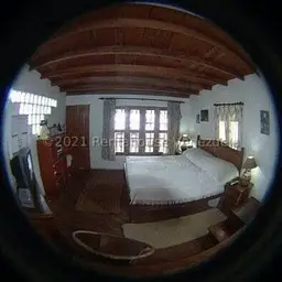 View 15