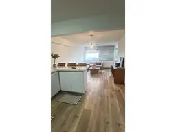 Vista 4