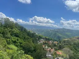 Vista 49