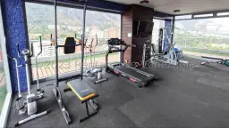 Vista 25