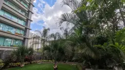 Vista 31