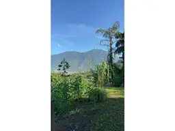 View 1