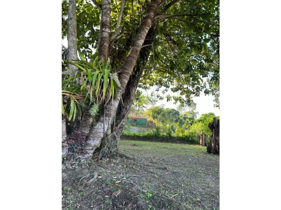Vendo terreno 1692m2 San Roman 5964 - 8