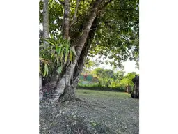 View 8