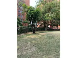 Vista 5