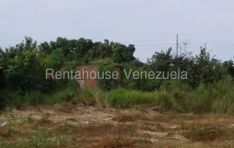 Terreno (Residencial) en Venta en Cristobal Colon, Zulia - 4