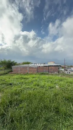 Vista 4