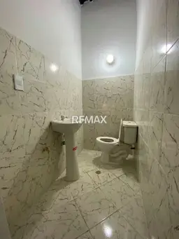 Vista 19