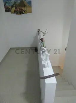 Vista 11