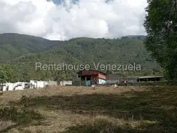 Vista 1