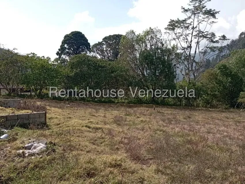 Terreno (Finca) en Venta en Mucuy Baja, Merida - 16