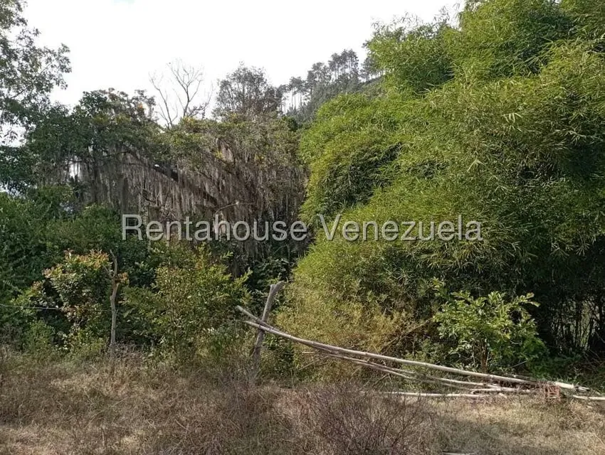 Terreno (Finca) en Venta en Mucuy Baja, Merida - 19