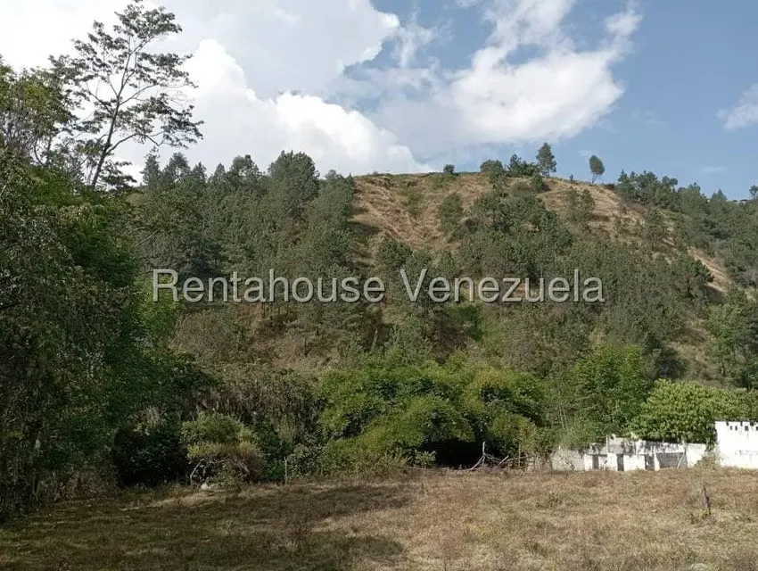 Terreno (Finca) en Venta en Mucuy Baja, Merida - 2