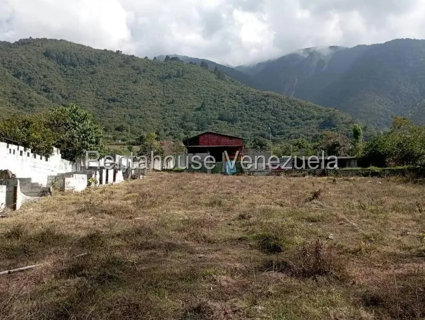 Terreno (Finca) en Venta en Mucuy Baja, Merida - 3