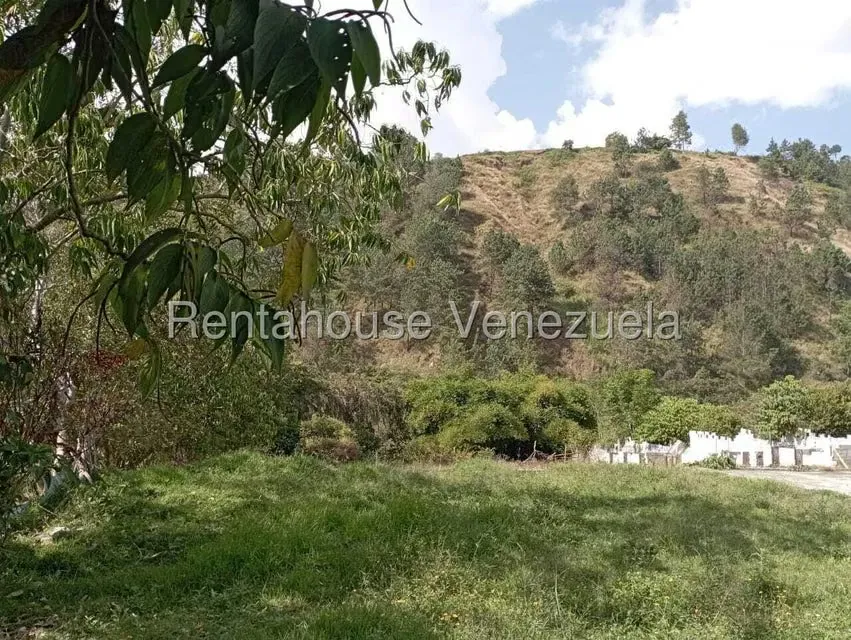 Terreno (Finca) en Venta en Mucuy Baja, Merida - 45