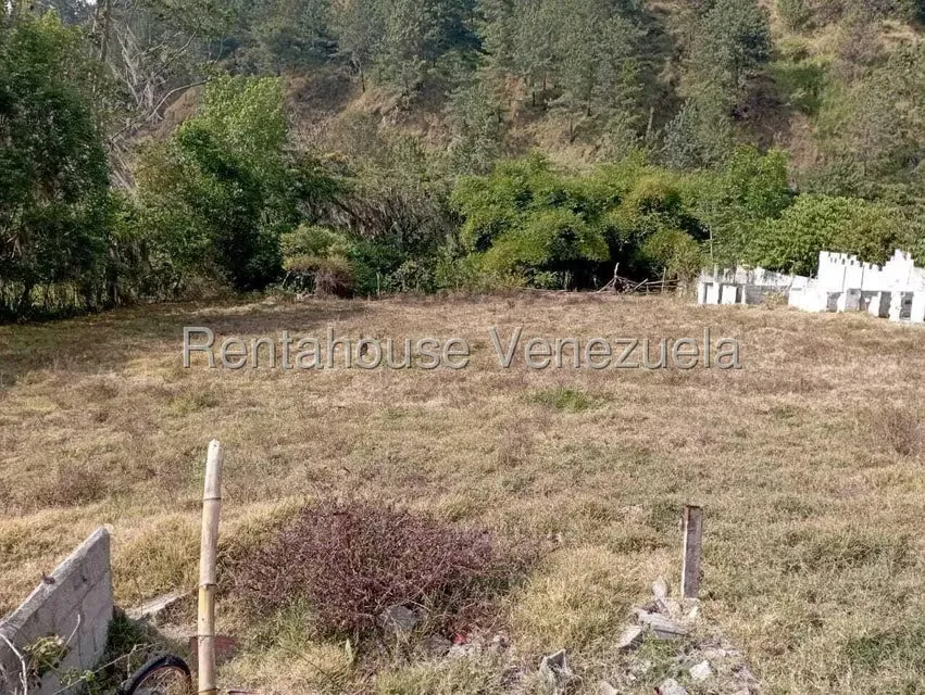 Terreno (Finca) en Venta en Mucuy Baja, Merida - 48