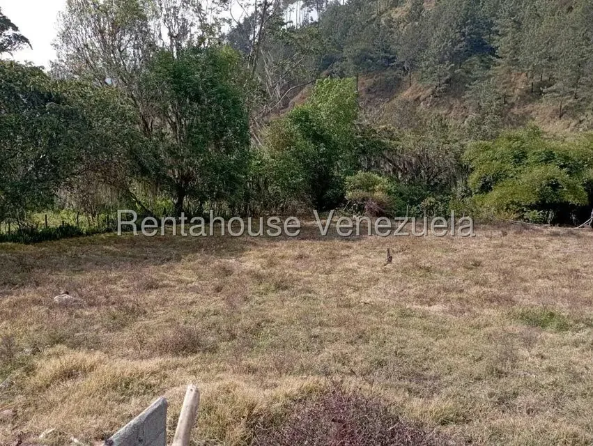 Terreno (Finca) en Venta en Mucuy Baja, Merida - 50