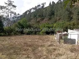 Vista 5
