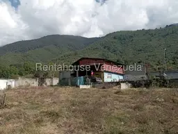 Vista 6