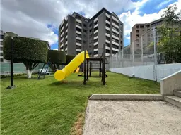 Vista 31