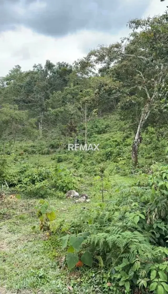 VENTA DE TERRENO CASA DEL PADRE , POTRERO DE LAS CASAS 2000MTS - 3
