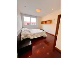 Vista 20