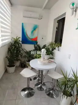 Vista 5