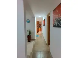 Vista 24