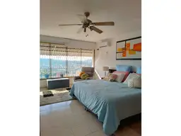 Vista 25