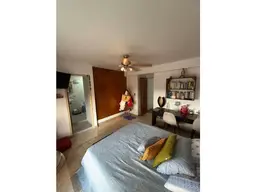Vista 34