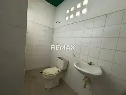 Vista 18
