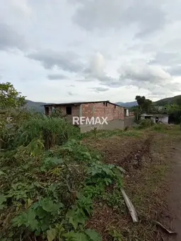 Vista 1