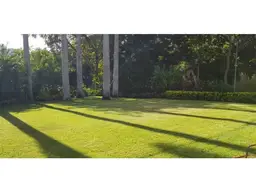 Vista 1