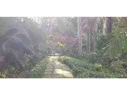 Vista 12