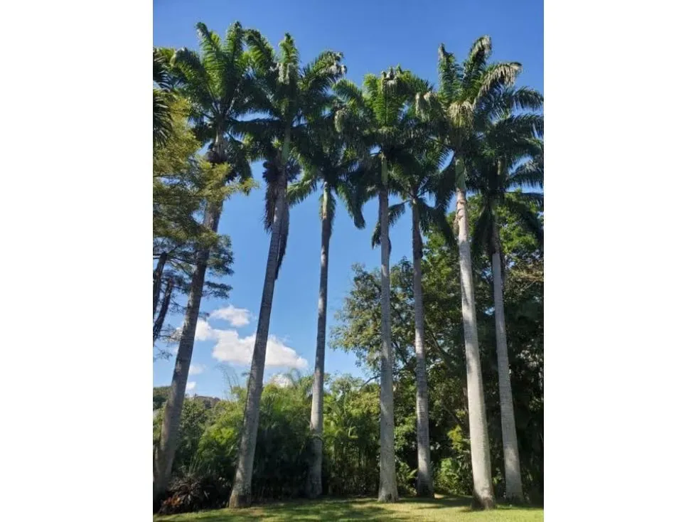 Se vende casa 850m2 4h+2s/8b/7p Cerro Verde - 6
