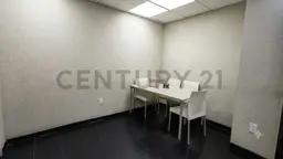 Vista 12