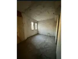 Vista 5
