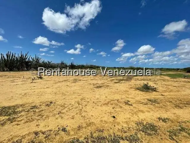 Terreno (Comercial) en Venta en Pueblo Nuevo, Falcon