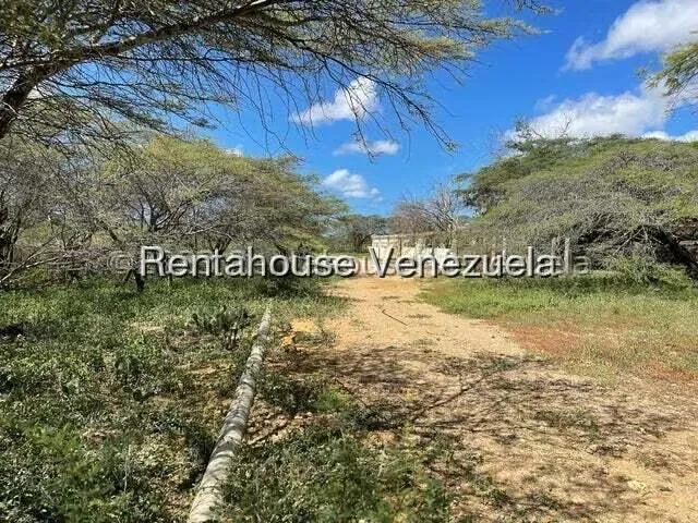Terreno (Comercial) en Venta en Pueblo Nuevo, Falcon - 4