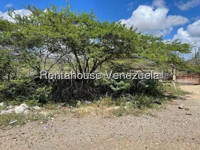 Terreno (Comercial) en Venta en Pueblo Nuevo, Falcon - 8