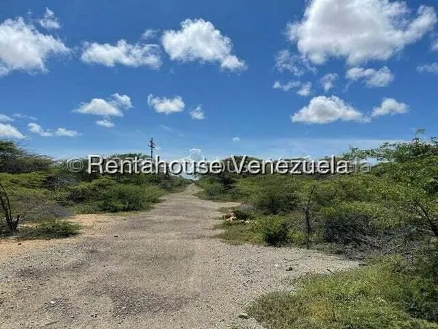 Terreno (Comercial) en Venta en Pueblo Nuevo, Falcon - 9