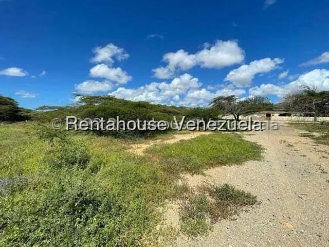 Terreno (Comercial) en Venta en Pueblo Nuevo, Falcon - 10